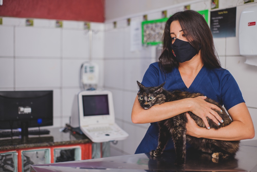 Pronto Socorro Veterinário 24 Horas com Internação